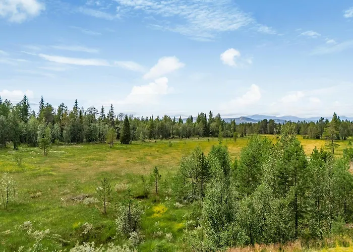 Hébergement de vacances With Views Of Hemsedal Mountains *